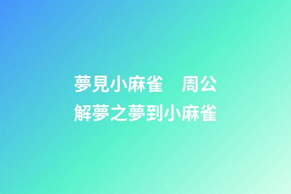 夢見小麻雀　周公解夢之夢到小麻雀